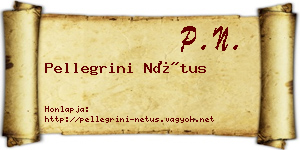 Pellegrini Nétus névjegykártya